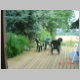 Deck table and chairs.jpg